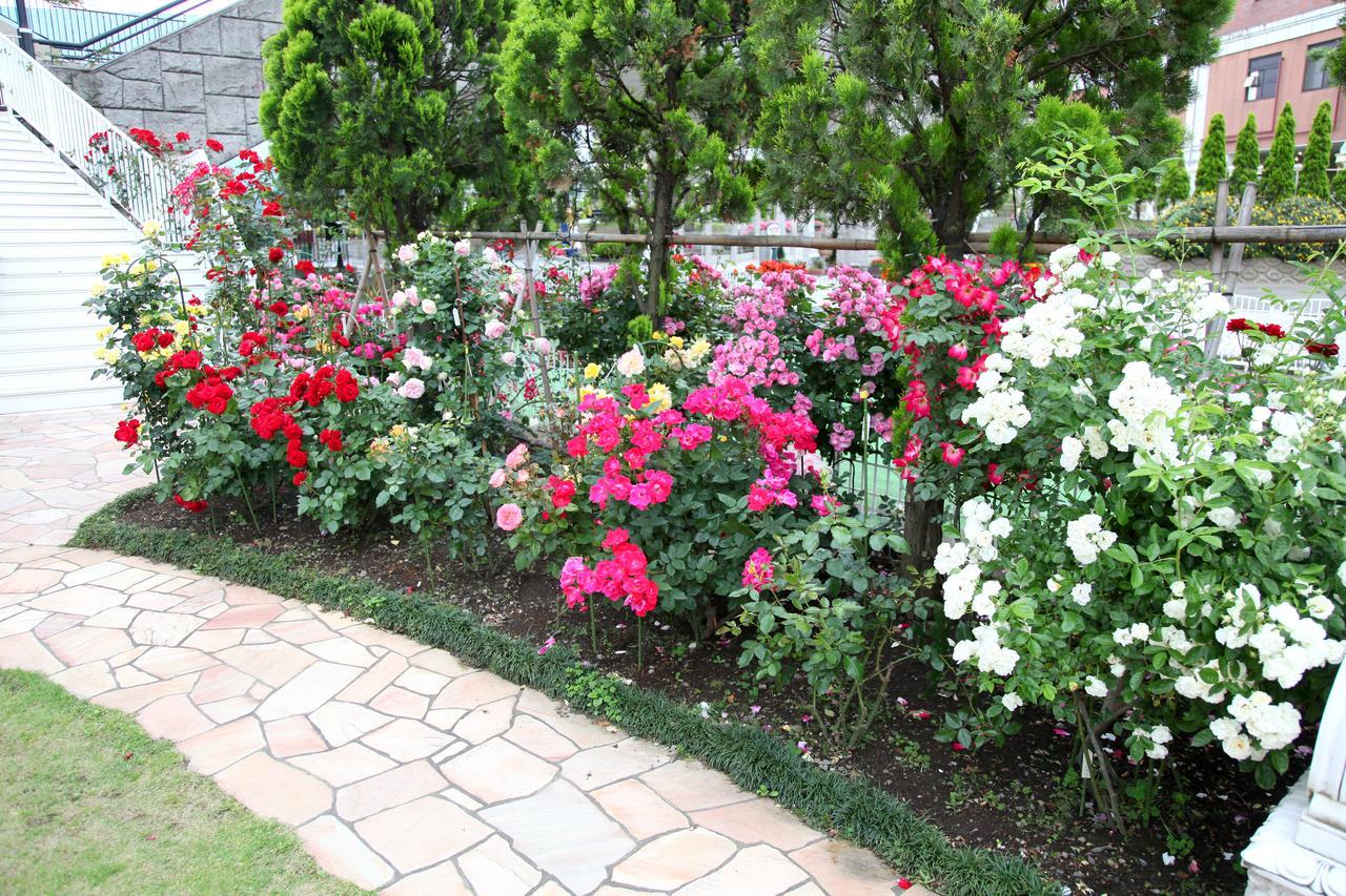 Hotel Sunlife Garden Hiratsuka Exterior foto